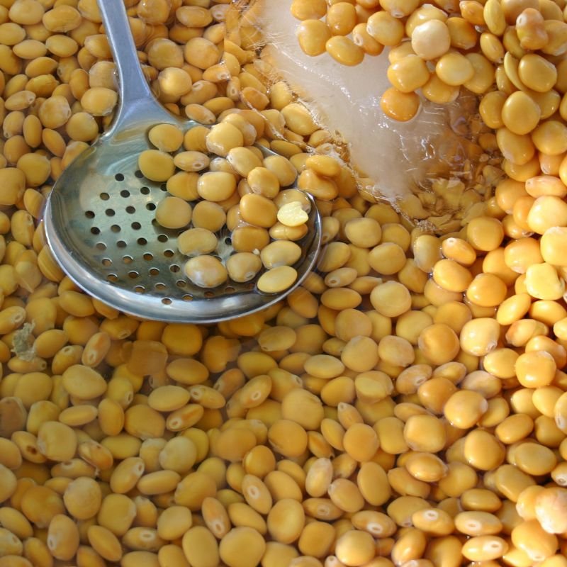 Lupin Beans – The High-Protein Legume You’re Missing