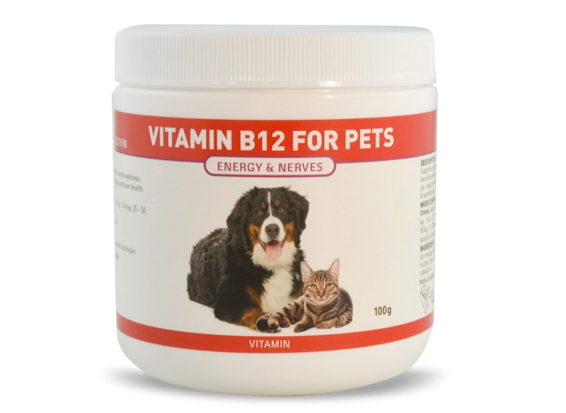 Vitamin B12 Supplementation
