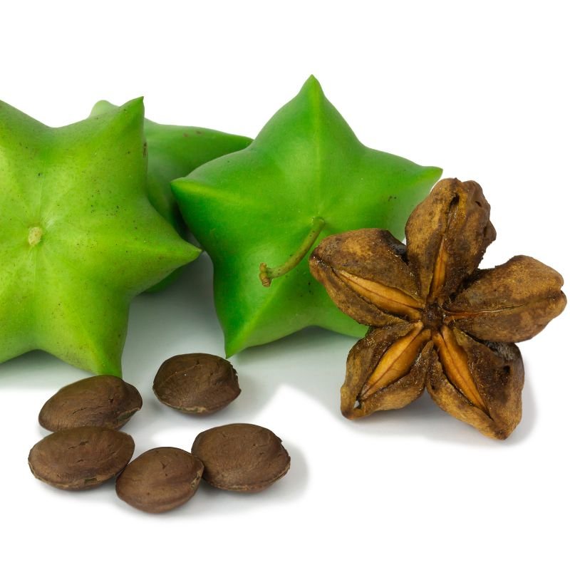 Sacha Inchi – The Amazonian Super Seed