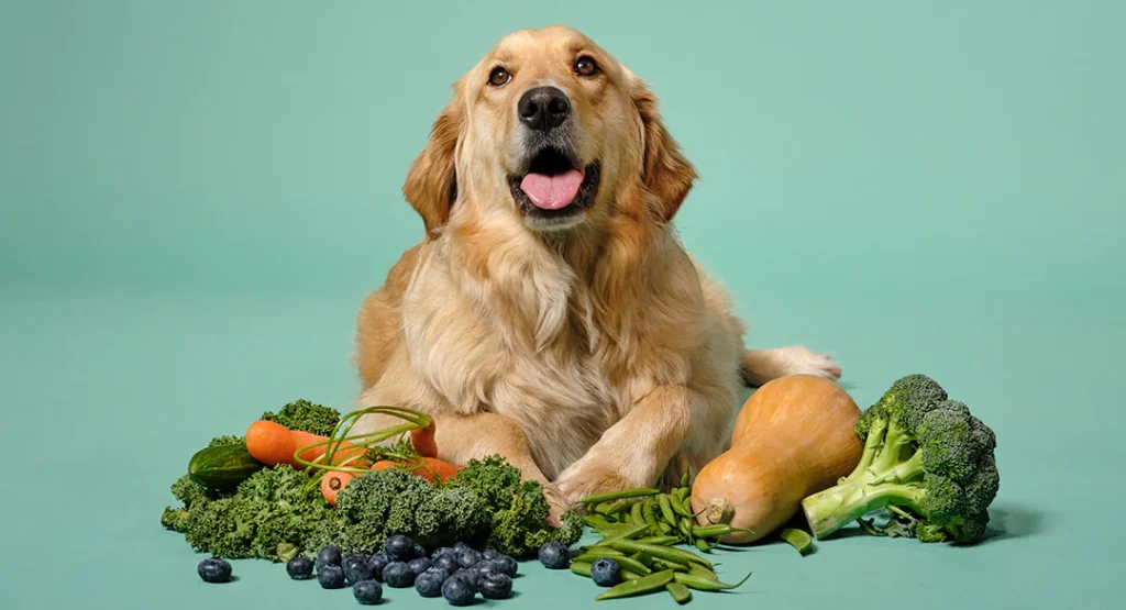 Breed-Specific Considerations