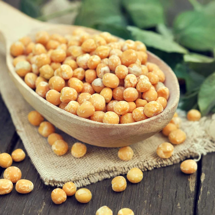 Pea Protein – More Than Just a Supplement