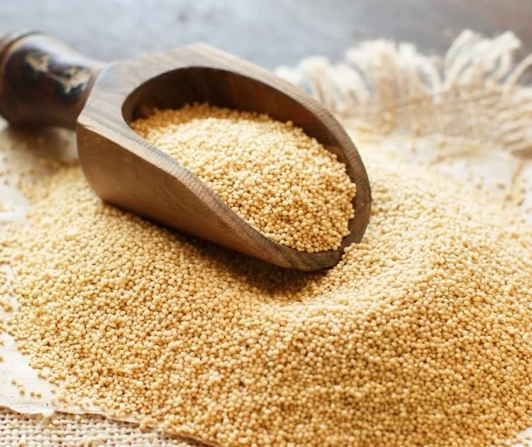 Amaranth – The Protein-Packed Pseudograin