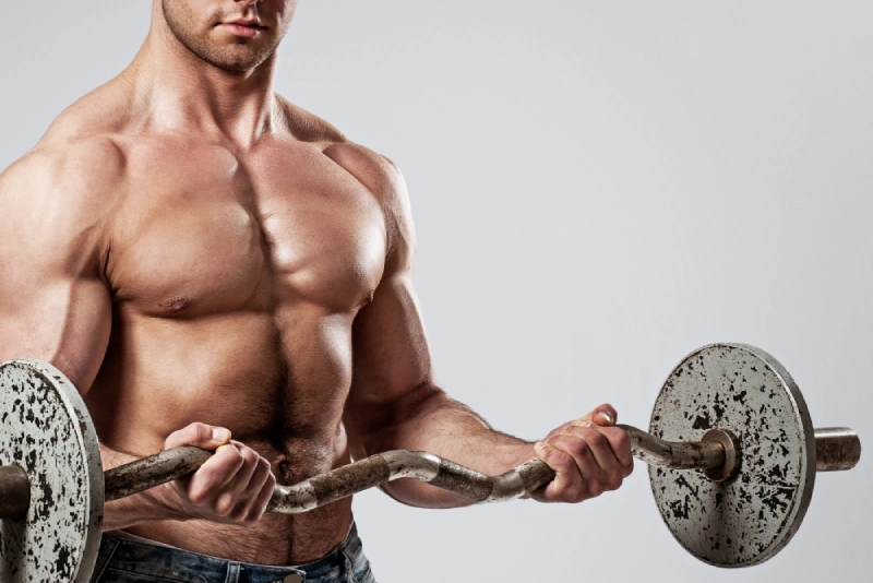 Muscle Building