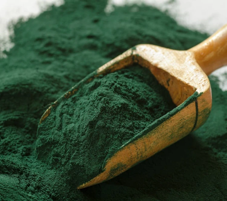 Spirulina – The Superfood Algae