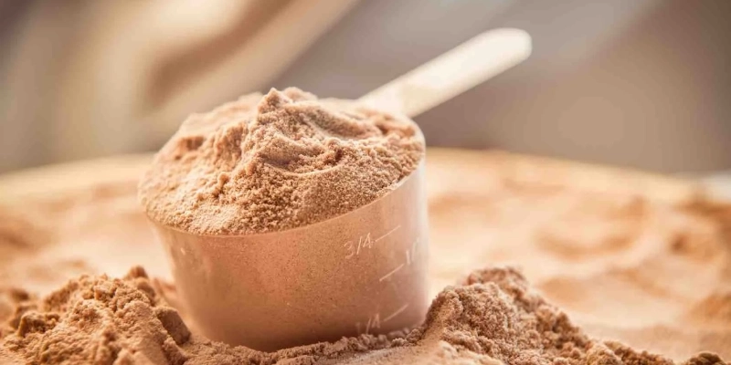 Plant-Based Protein vs Whey Protein