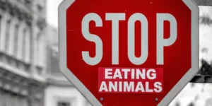 Cruelest Meats That Nobody Should Eat